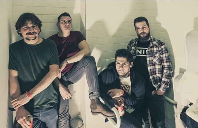 Humus in posa davanti a un muro di mattoni bianchi